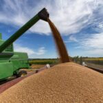 Setor do agro brasileiro reage a tarifa de Trump e pede resposta diplomática